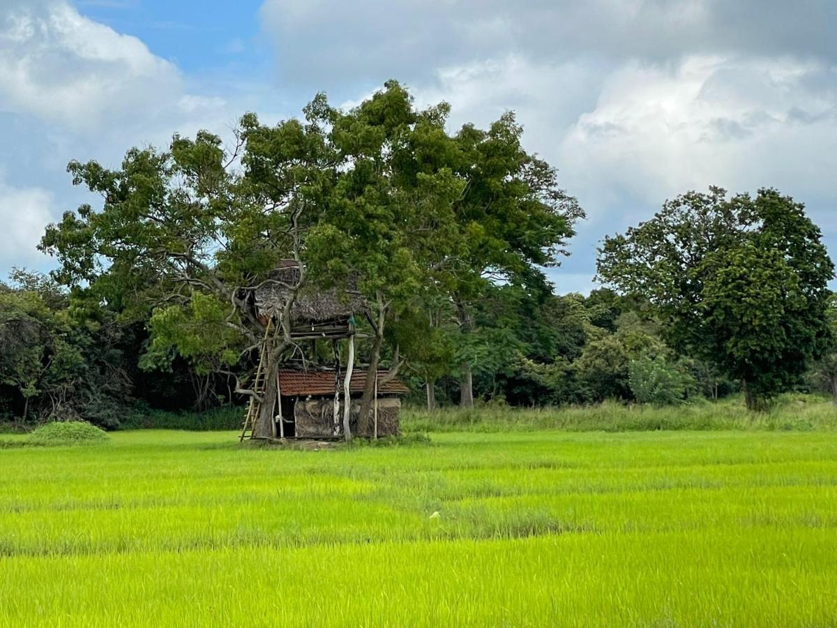 Thilina Homestay 锡吉里亚 外观 照片