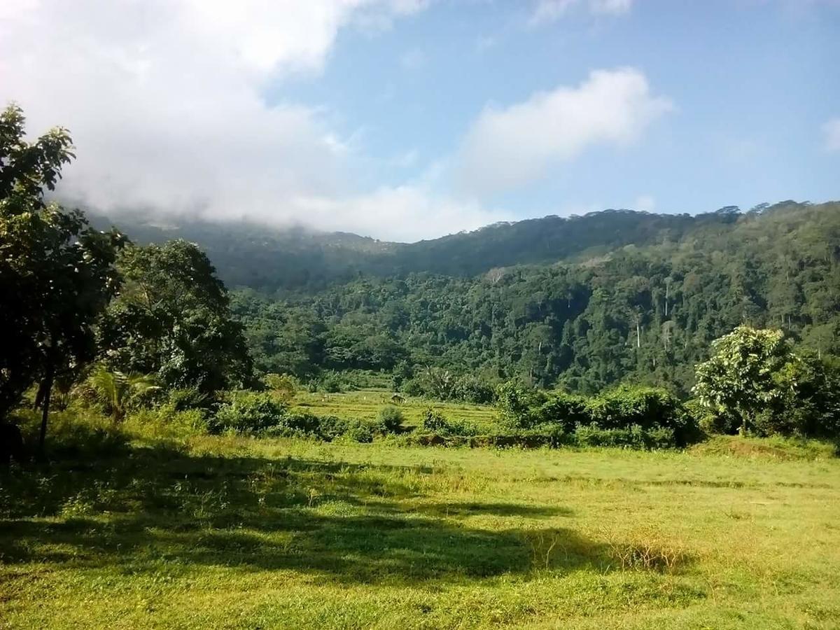 Thilina Homestay 锡吉里亚 外观 照片